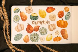 Sketchbook page full of watercolour pumpkins