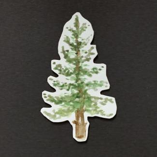 watercolour fir