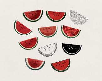 watermelon slices in different illustration styles