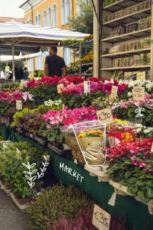 market flowers