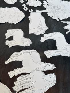 the templates for the course