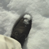 a shoe in the snow